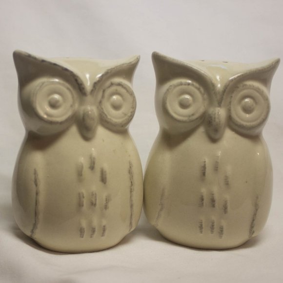 Owl Salt and Pepper shakers With Gray Highlights - Picture 1 of 7